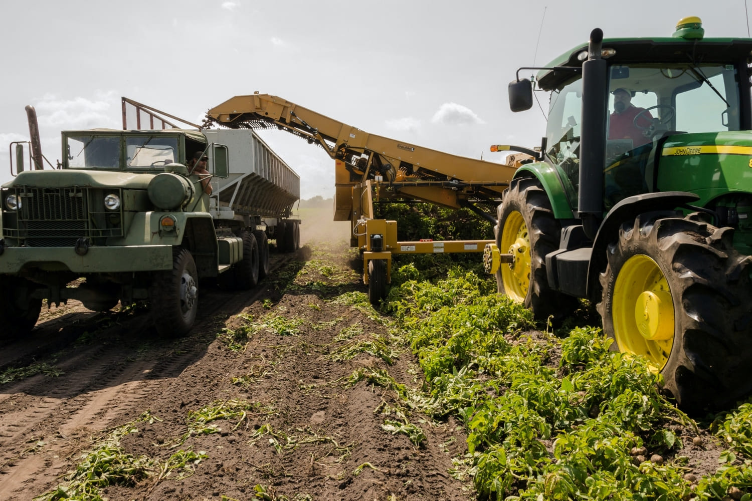 Україна вчетверте поспіль оновила історичний рекорд аграрного експорту